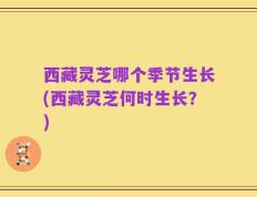 西藏灵芝哪个季节生长(西藏灵芝何时生长？)