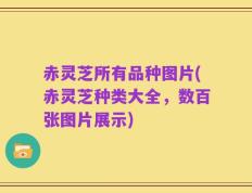 赤灵芝所有品种图片(赤灵芝种类大全，数百张图片展示)