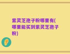 紫灵芝孢子粉哪里有(哪里能买到紫灵芝孢子粉)