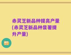 赤灵芝新品种提高产量(赤灵芝新品种显著提升产量)