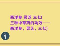 西洋参 灵芝 三七(三种中草药的功效──西洋参，灵芝，三七)