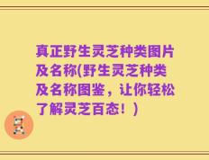 真正野生灵芝种类图片及名称(野生灵芝种类及名称图鉴，让你轻松了解灵芝百态！)