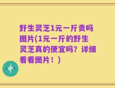 野生灵芝1元一斤贵吗图片(1元一斤的野生灵芝真的便宜吗？详细看看图片！)