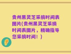 贵州黑灵芝采摘时间表图片(贵州黑灵芝采摘时间表图片，精确指导您采摘时间！)