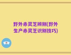 野外赤灵芝辨别(野外生产赤灵芝识别技巧)