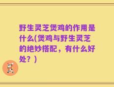 野生灵芝煲鸡的作用是什么(煲鸡与野生灵芝的绝妙搭配，有什么好处？)