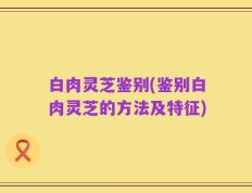 白肉灵芝鉴别(鉴别白肉灵芝的方法及特征)