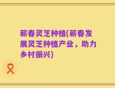 蕲春灵芝种植(蕲春发展灵芝种植产业，助力乡村振兴)
