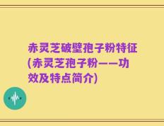 赤灵芝破壁孢子粉特征(赤灵芝孢子粉——功效及特点简介)