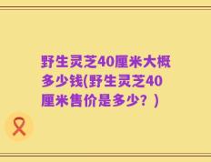 野生灵芝40厘米大概多少钱(野生灵芝40厘米售价是多少？)