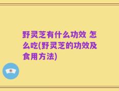 野灵芝有什么功效 怎么吃(野灵芝的功效及食用方法)