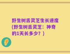 野生树舌灵芝生长速度(野生树舌灵芝：神奇的1天长多少？)