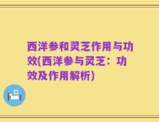 西洋参和灵芝作用与功效(西洋参与灵芝：功效及作用解析)
