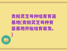 贵阳灵芝母种培育育苗基地(贵阳灵芝母种育苗基地开始培育萌发。)