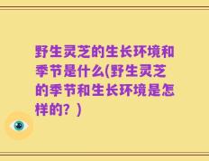 野生灵芝的生长环境和季节是什么(野生灵芝的季节和生长环境是怎样的？)