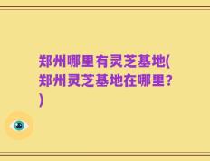 郑州哪里有灵芝基地(郑州灵芝基地在哪里？)