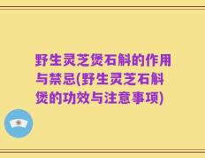 野生灵芝煲石斛的作用与禁忌(野生灵芝石斛煲的功效与注意事项)