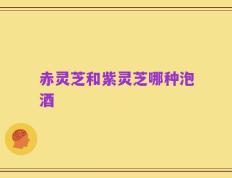 赤灵芝和紫灵芝哪种泡酒