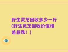 野生灵芝回收多少一斤(野生灵芝回收价值相差悬殊！)