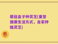 蘑菇盒子种灵芝(重塑健康生活方式，自家种植灵芝)