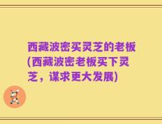 西藏波密买灵芝的老板(西藏波密老板买下灵芝，谋求更大发展)