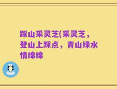 踩山采灵芝(采灵芝，登山上踩点，青山绿水情绵绵