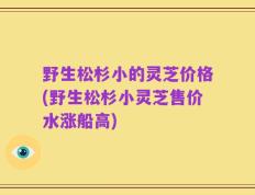 野生松杉小的灵芝价格(野生松杉小灵芝售价水涨船高)