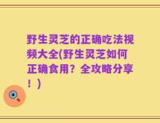 野生灵芝的正确吃法视频大全(野生灵芝如何正确食用？全攻略分享！)
