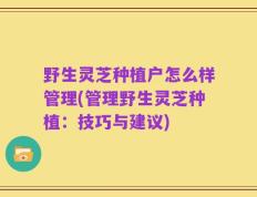 野生灵芝种植户怎么样管理(管理野生灵芝种植：技巧与建议)