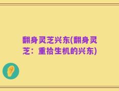 翻身灵芝兴东(翻身灵芝：重拾生机的兴东)