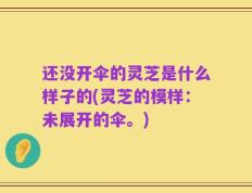 还没开伞的灵芝是什么样子的(灵芝的模样：未展开的伞。)