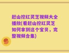 赶山挖红灵芝视频大全播放(看赶山挖红灵芝如何拿到这个宝贝，完整视频合集)