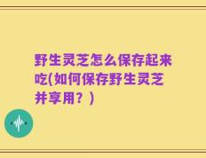 野生灵芝怎么保存起来吃(如何保存野生灵芝并享用？)