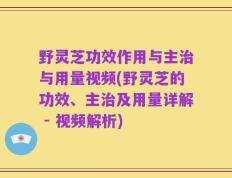 野灵芝功效作用与主治与用量视频(野灵芝的功效、主治及用量详解 - 视频解析)