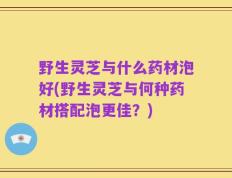 野生灵芝与什么药材泡好(野生灵芝与何种药材搭配泡更佳？)