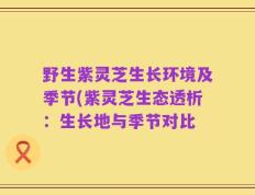 野生紫灵芝生长环境及季节(紫灵芝生态透析：生长地与季节对比