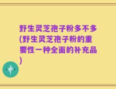 野生灵芝孢子粉多不多(野生灵芝孢子粉的重要性一种全面的补充品)