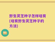 野生灵芝种子怎样培育(培育野生灵芝种子的方法)