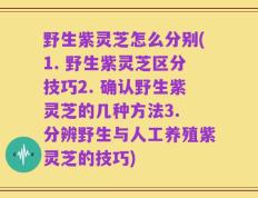 野生紫灵芝怎么分别(1. 野生紫灵芝区分技巧2. 确认野生紫灵芝的几种方法3. 分辨野生与人工养殖紫灵芝的技巧)