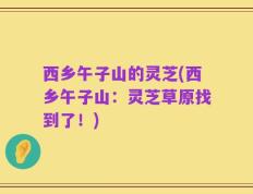 西乡午子山的灵芝(西乡午子山：灵芝草原找到了！)