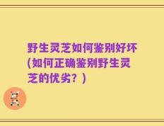 野生灵芝如何鉴别好坏(如何正确鉴别野生灵芝的优劣？)