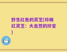 野生红色的灵芝(珍稀红灵芝：大自然的珍宝)