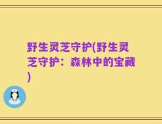 野生灵芝守护(野生灵芝守护：森林中的宝藏)