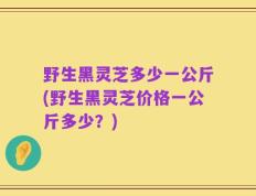 野生黑灵芝多少一公斤(野生黑灵芝价格一公斤多少？)
