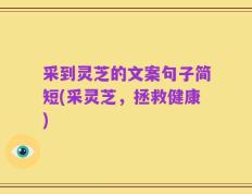 采到灵芝的文案句子简短(采灵芝，拯救健康)
