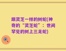 跟灵芝一样的树蛇(神奇的“灵芝蛇”：世间罕见的树上三足蛇)