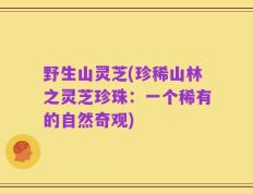 野生山灵芝(珍稀山林之灵芝珍珠：一个稀有的自然奇观)