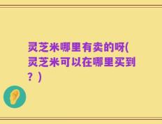 灵芝米哪里有卖的呀(灵芝米可以在哪里买到？)