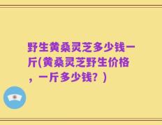 野生黄桑灵芝多少钱一斤(黄桑灵芝野生价格，一斤多少钱？)