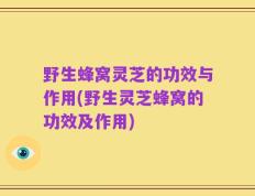 野生蜂窝灵芝的功效与作用(野生灵芝蜂窝的功效及作用)